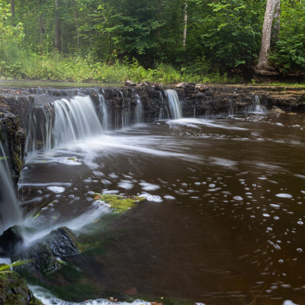 Ūdenskritums ar plūstošu, baltu ūdeni, kas krīt pāri tumšiem akmeņiem brūnganā upē, ko ieskauj zaļš mežs.